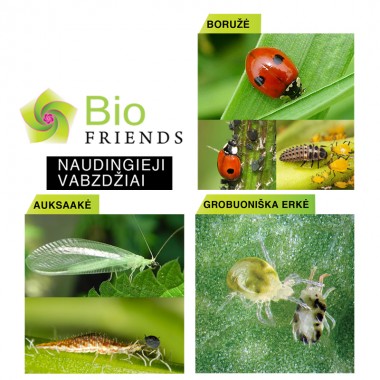 BIOFRIENDS naudingieji vabzdžiai